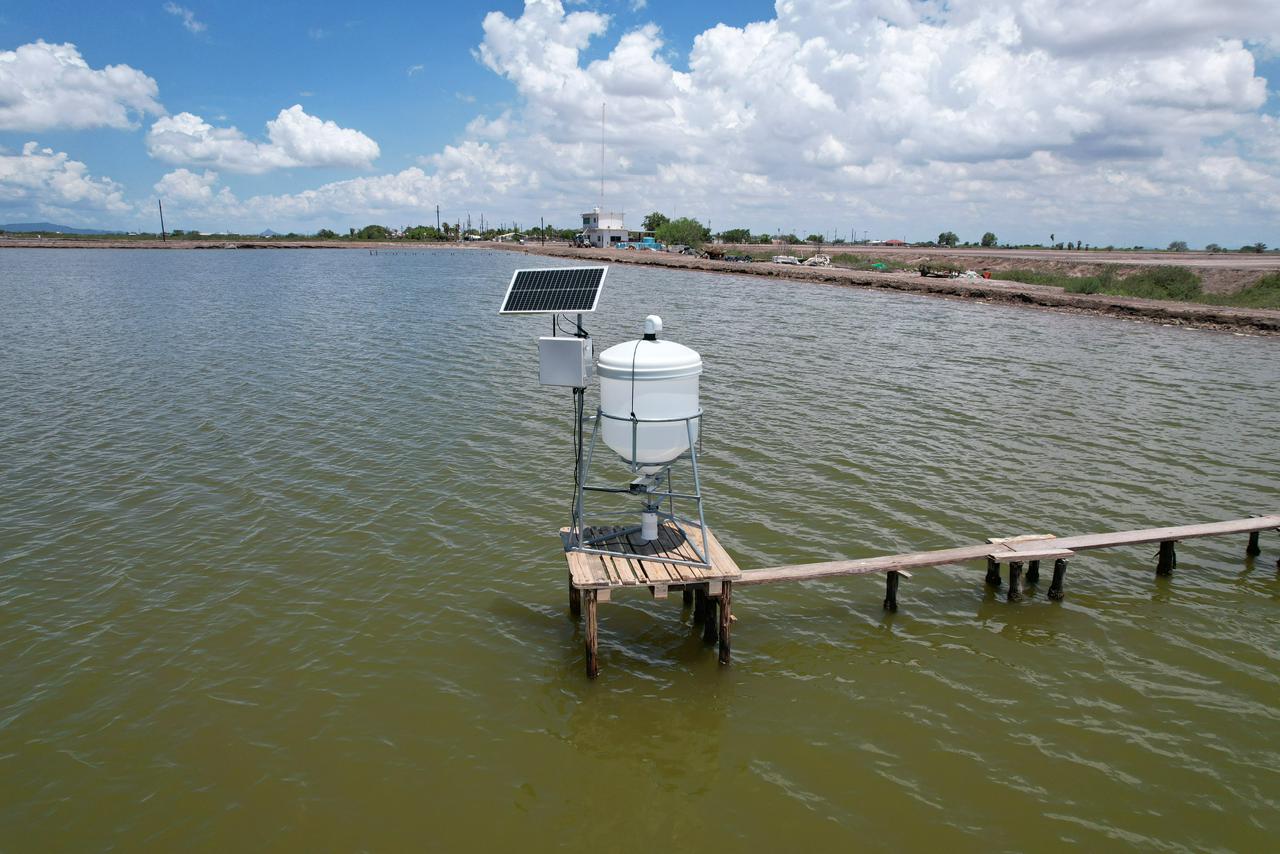 services-03 Imagen De WhatsApp 2025 11 07 A Las 19.43.20 D18439f4