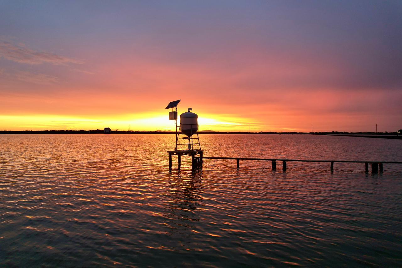 services-01 Imagen De WhatsApp 2025 11 07 A Las 19.50.41 4329232b